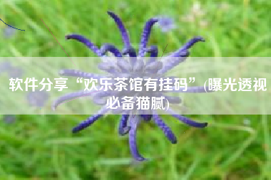 软件分享“欢乐茶馆有挂码	”(曝光透视必备猫腻)