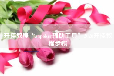开挂教程“aapoker辅助工具”2026开挂教程步骤