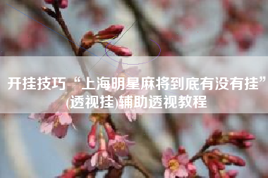 开挂技巧“上海明星麻将到底有没有挂	”(透视挂)辅助透视教程