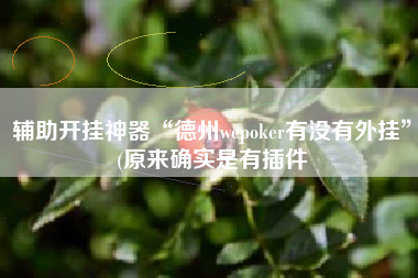 辅助开挂神器“德州wepoker有没有外挂”(原来确实是有插件