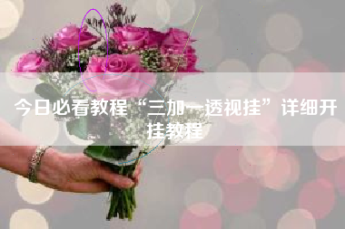 今日必看教程“三加一透视挂”详细开挂教程