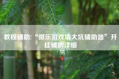 教程辅助!“微乐游戏填大坑辅助器”开挂辅助详细