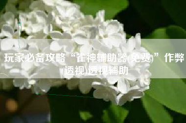 玩家必备攻略“雀神辅助器(免费)	”作弊(透视)透视辅助