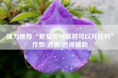 强力推荐“聚友贵州麻将可以开挂吗”作弊(透视)透视辅助