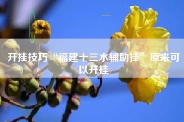 开挂技巧“福建十三水辅助挂”原来可以开挂