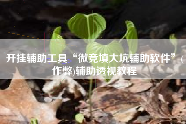开挂辅助工具“微竞填大坑辅助软件”(作弊)辅助透视教程