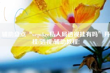 辅助盘点“wepoker私人局透视挂有吗	”开挂(透视)辅助教程!