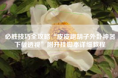 必胜技巧全攻略“皮皮跑胡子外卦神器下载透视”附开挂脚本详细教程