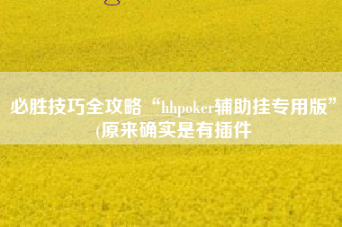 必胜技巧全攻略“hhpoker辅助挂专用版”(原来确实是有插件