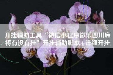 开挂辅助工具“微信小程序微乐四川麻将有没有挂”开挂辅助脚本+详细开挂