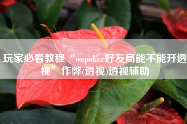 玩家必看教程“wepoker好友局能不能开透视	”作弊(透视)透视辅助