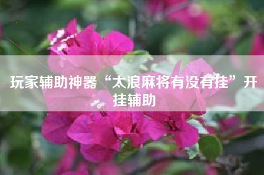 玩家辅助神器“太浪麻将有没有挂	”开挂辅助