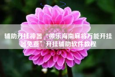 辅助开挂神器“微乐海南麻将万能开挂器免费	”开挂辅助软件教程