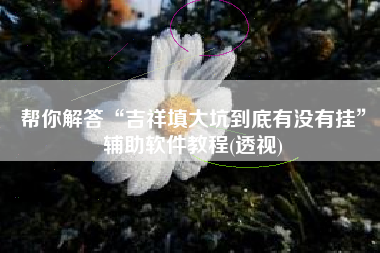 帮你解答“吉祥填大坑到底有没有挂”辅助软件教程(透视)