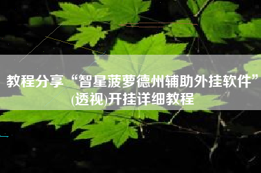 教程分享“智星菠萝德州辅助外挂软件	”(透视)开挂详细教程