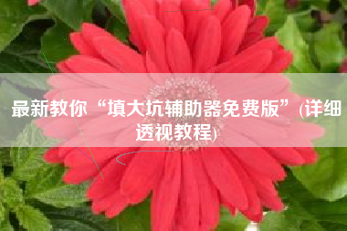 最新教你“填大坑辅助器免费版”(详细透视教程)