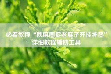 必看教程“陕麻圈捉老麻子开挂神器”详细教程辅助工具