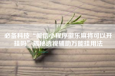 必备科技“微信小程序徽乐麻将可以开挂吗	”揭秘透视辅助万能挂用法