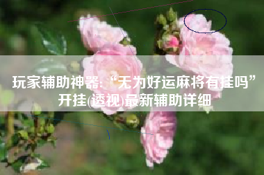玩家辅助神器:“无为好运麻将有挂吗”开挂(透视)最新辅助详细