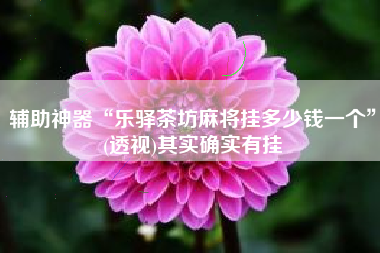 辅助神器“乐驿茶坊麻将挂多少钱一个	”(透视)其实确实有挂