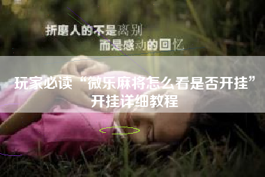 玩家必读“微乐麻将怎么看是否开挂	”开挂详细教程