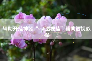 辅助开挂神器“wpk透视挂”辅助透视教程