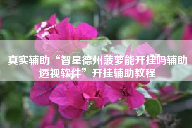 真实辅助“智星德州菠萝能开挂吗辅助透视软件”开挂辅助教程