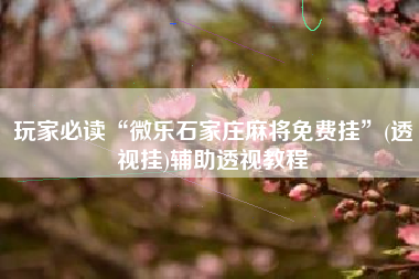 玩家必读“微乐石家庄麻将免费挂”(透视挂)辅助透视教程