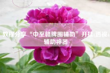 教程分享“中至赣牌圈辅助”开挂(透视)辅助神器