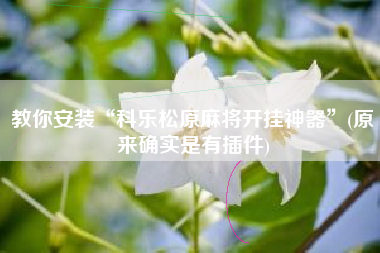 教你安装“科乐松原麻将开挂神器	”(原来确实是有插件)