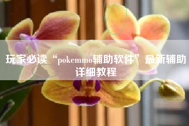 玩家必读“pokemmo辅助软件”最新辅助详细教程