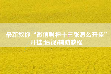 最新教你“微信财神十三张怎么开挂”开挂(透视)辅助教程