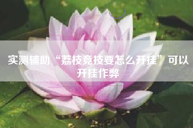 实测辅助“荔枝竞技要怎么开挂	”可以开挂作弊