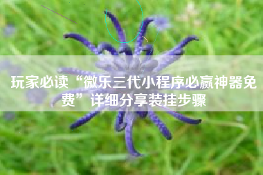 玩家必读“微乐三代小程序必赢神器免费”详细分享装挂步骤