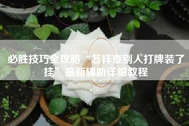 必胜技巧全攻略“怎样查别人打牌装了挂”最新辅助详细教程