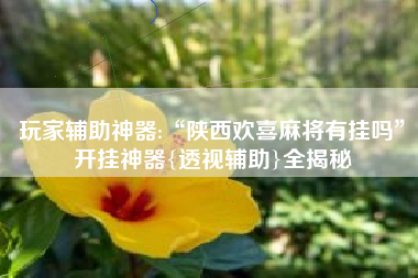 玩家辅助神器:“陕西欢喜麻将有挂吗”开挂神器{透视辅助}全揭秘