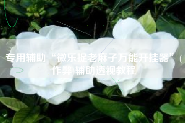 专用辅助“微乐捉老麻子万能开挂器	”(作弊)辅助透视教程