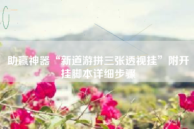 助赢神器“新道游拼三张透视挂”附开挂脚本详细步骤