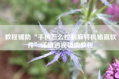 教程辅助“手机怎么控制麻将机输赢软件”详细透视辅助教程