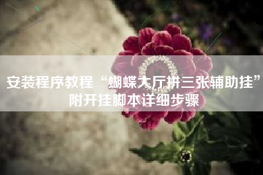 安装程序教程“蝴蝶大厅拼三张辅助挂	”附开挂脚本详细步骤