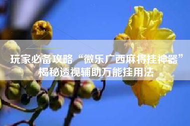 玩家必备攻略“微乐广西麻将挂神器”揭秘透视辅助万能挂用法