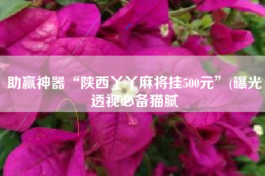 助赢神器“陕西丫丫麻将挂500元”(曝光透视必备猫腻