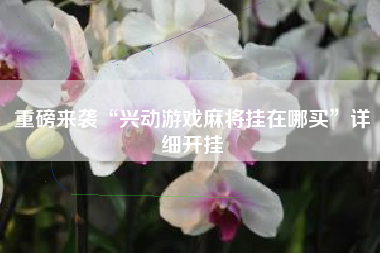 重磅来袭“兴动游戏麻将挂在哪买	”详细开挂