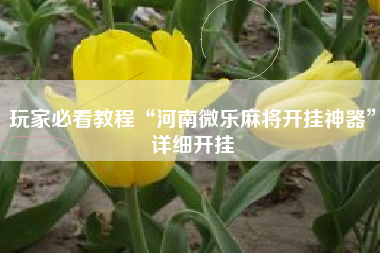 玩家必看教程“河南微乐麻将开挂神器	”详细开挂