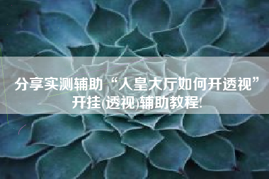 分享实测辅助“人皇大厅如何开透视”开挂(透视)辅助教程!