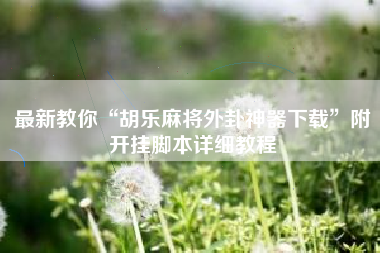 最新教你“胡乐麻将外卦神器下载”附开挂脚本详细教程