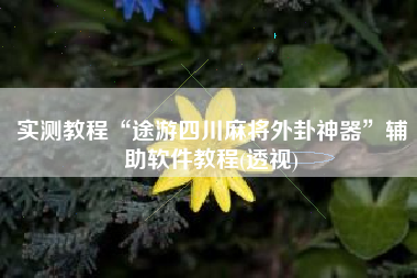 实测教程“途游四川麻将外卦神器	”辅助软件教程(透视)