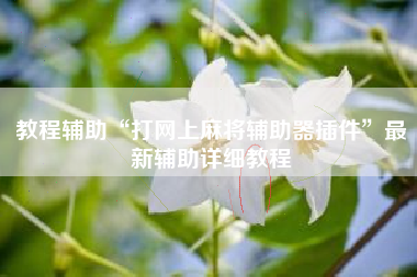 教程辅助“打网上麻将辅助器插件”最新辅助详细教程