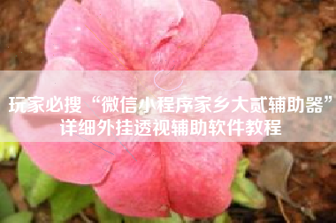 玩家必搜“微信小程序家乡大贰辅助器”详细外挂透视辅助软件教程