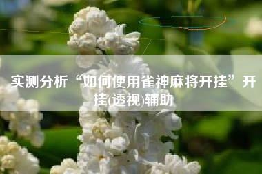 实测分析“如何使用雀神麻将开挂”开挂(透视)辅助